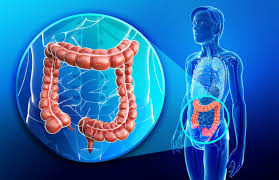 Colorectal Cancer Market'