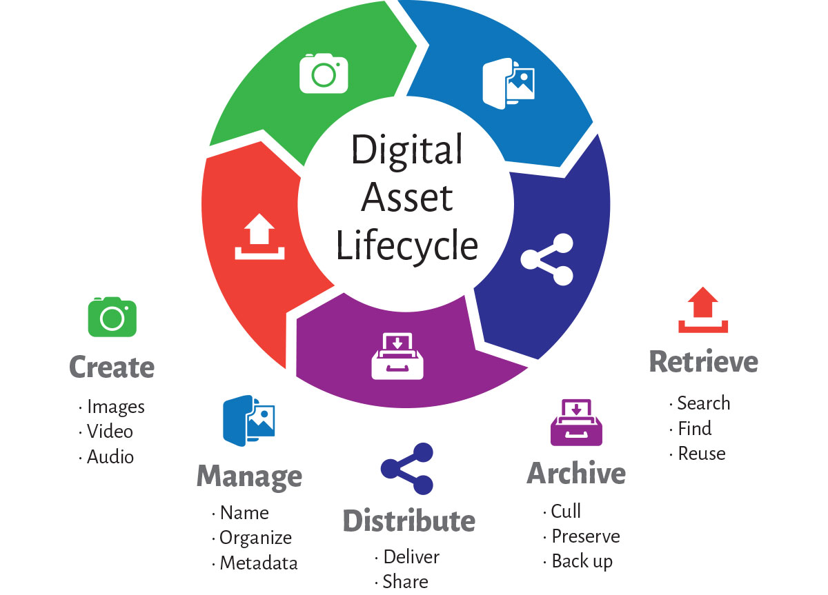 Digital Asset Management Software'