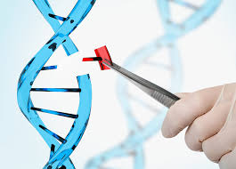 Genetic Engineering Market