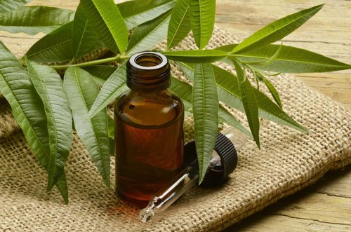 Tea Tree Oil Market