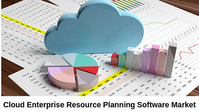 Cloud Enterprise Resource Planning Software'