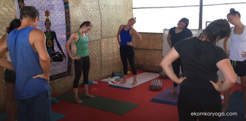 Yoga Teacher Training in Rishikesh India'