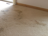 Tips towards Better Carpet Cleaning