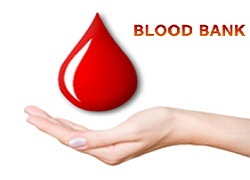 Blood Bank Information System Market'