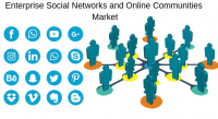 Contemporary Features on Global Enterprise Social Networks a