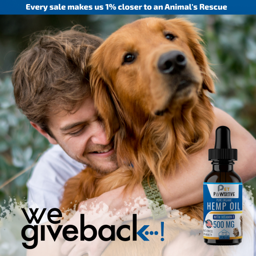 Pet Pawsitive Debuts CBD Oil for Dogs'