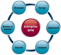 Enterprise Business Process Management Software Market