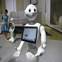 Reception Robots Market