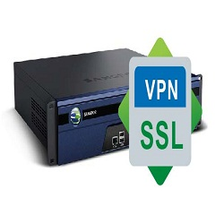 Global SSL VPN Products Market'