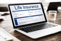 Global Online Life Insurance Market Size, Status And Forecas