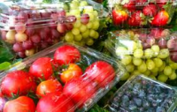 Agricultural Packaging Market
