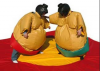 Sumo Suits to Hire'