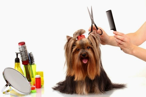 Global Pet Grooming Products Market'