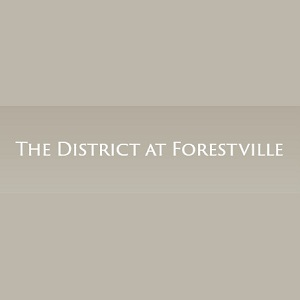 Company Logo For The District at Forestville'