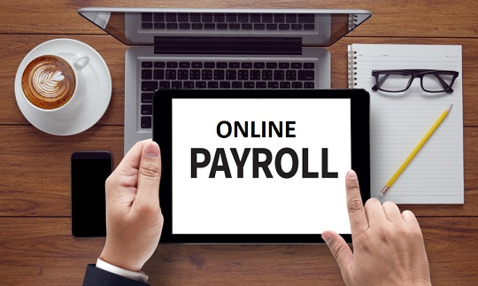 Online Payroll Services Market'