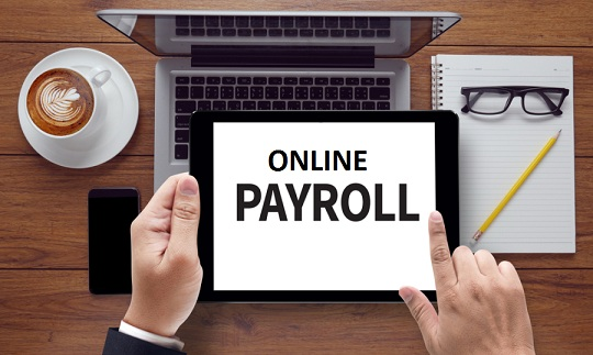 Online Payroll Services Market