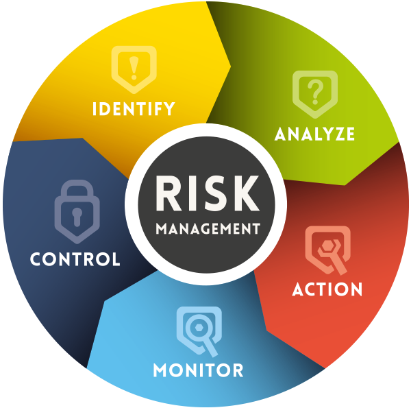 Financial Risk Management Consulting Market'