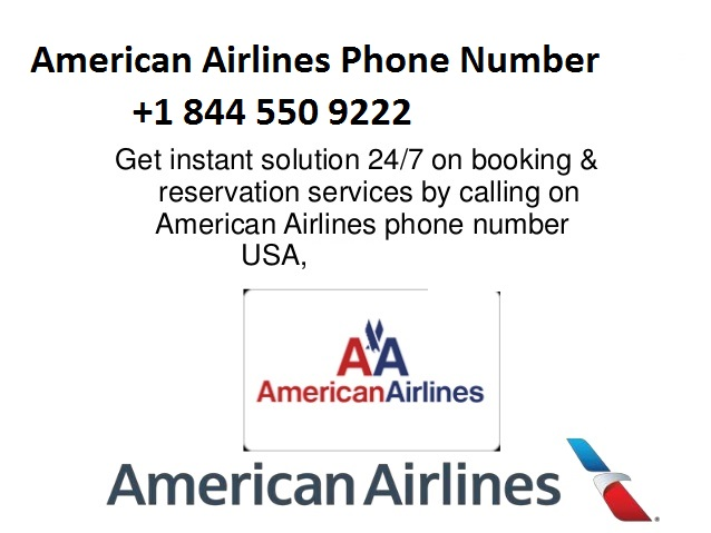 Company Logo For American Airlines Customer Service'