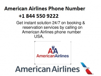 American Airlines Customer Service Logo