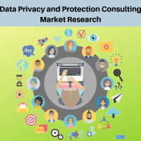 Data Privacy and Protection Consulting Market