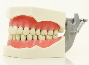 Artificial Teeth Market'
