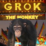 Grok'