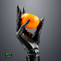 Robotic hand BIOT holding