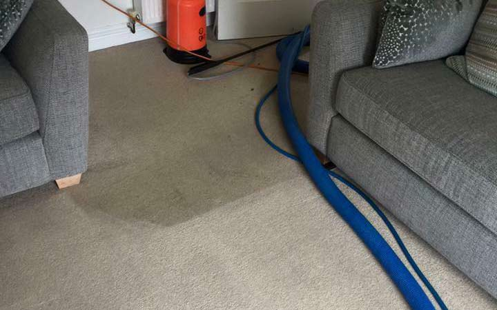 Carpet Steam Cleaning Geelong Logo