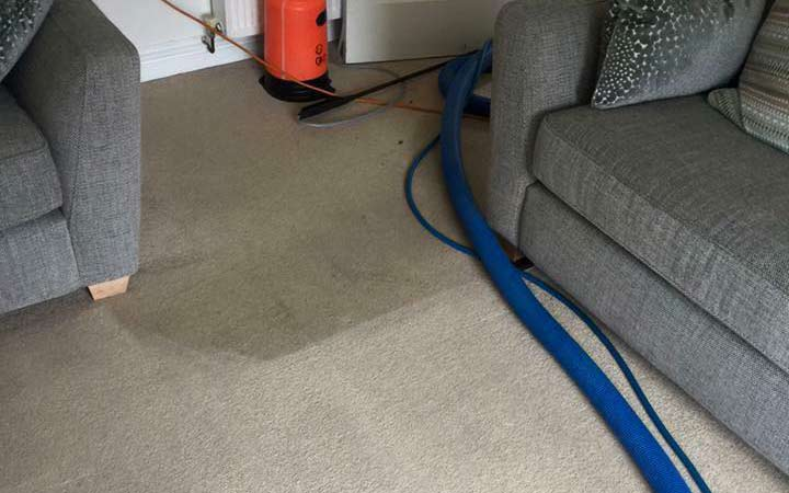 Company Logo For Carpet Steam Cleaning Geelong'