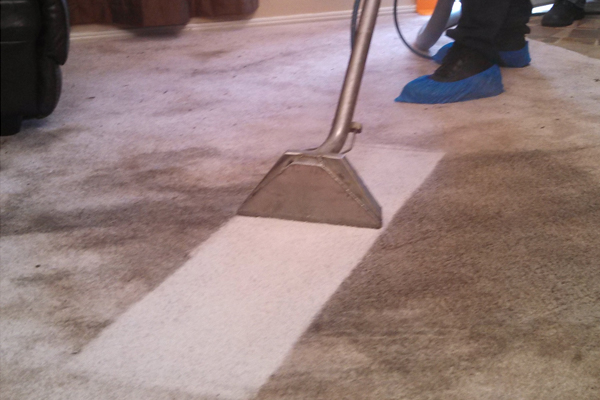 Professional Carpet Cleaning Geelong