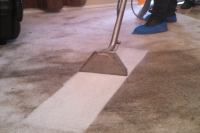 Professional Carpet Cleaning Geelong Logo