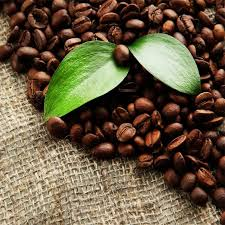 Global Organic Coffee Market'