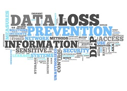 Enterprise Data Loss Prevention Software Market'
