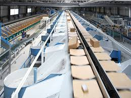 Loop Parcel Sortation Systems Market'