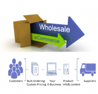 Wholesale E-Commerce Market