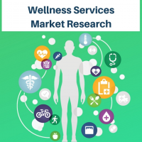 Wellness Services Market