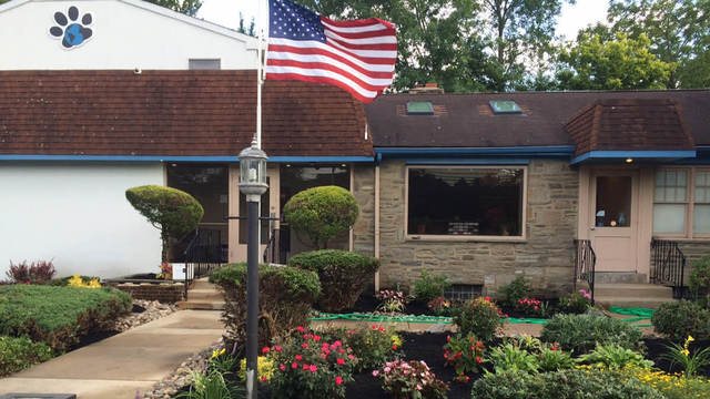 Huntingdon Valley Veterinary Hospital