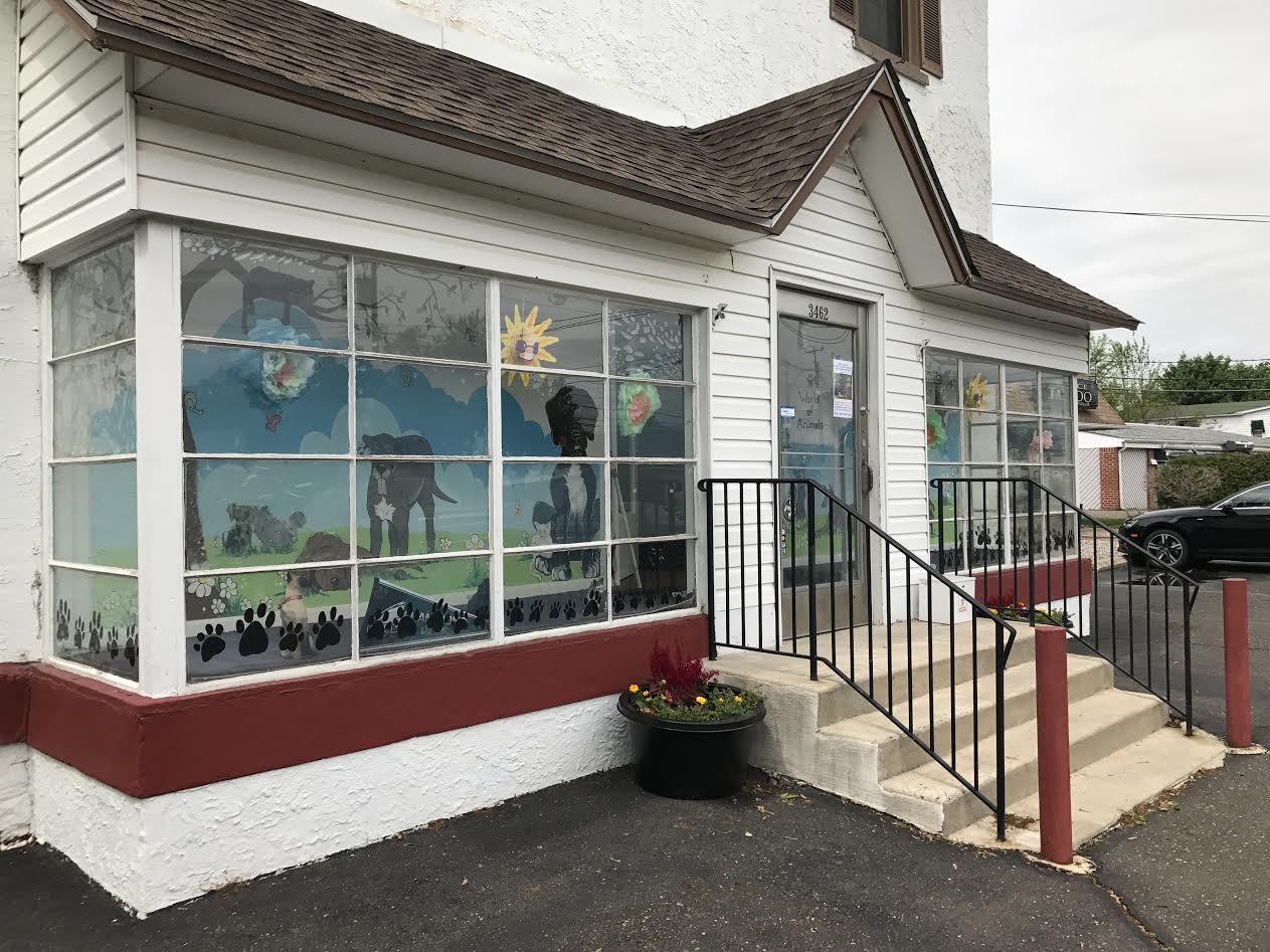 Company Logo For Bucks County Veterinary Hospital'