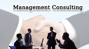 Management Consulting Service Market'