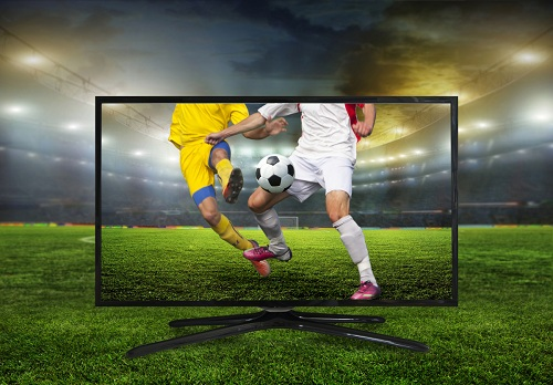 Sport Software Market'