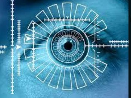 Global Human Identification Analysis Software Market'