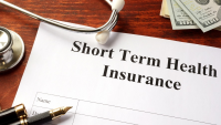 Short Term Health Insurance Market