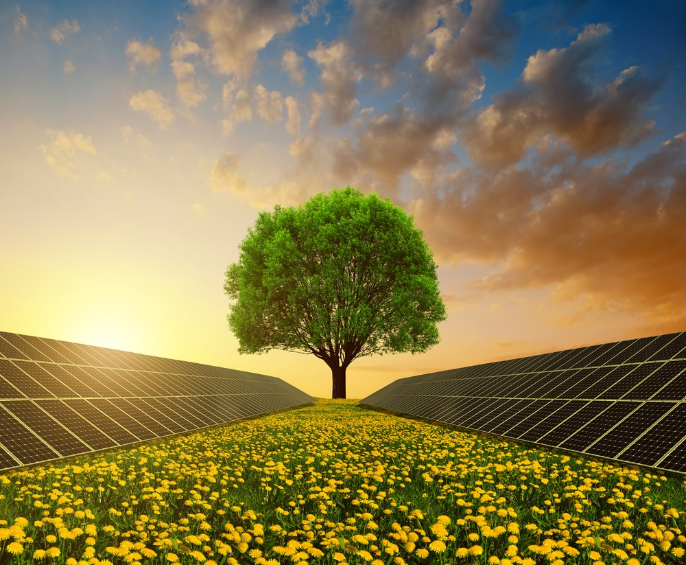 Clean Energy Market