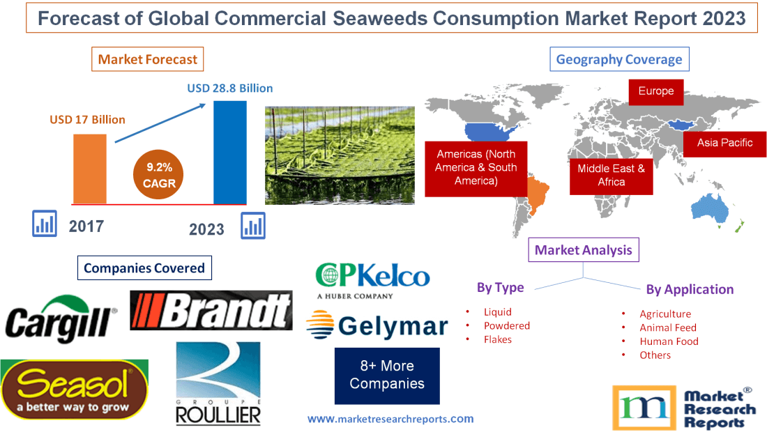 Forecast of Global Commercial Seaweeds Consumption Market'