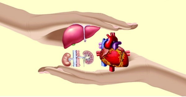 Artificial Organ market'