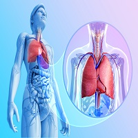 Lungs in Vitro Market'