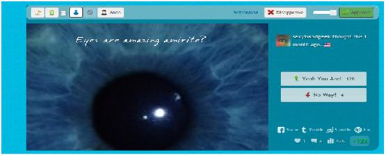 Amirite.com: Exciting new startup