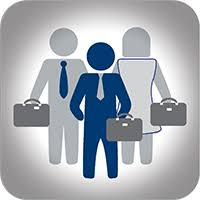 IT Professional Services'