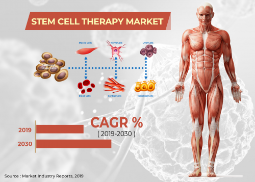 Stem Cell Therapy Market'