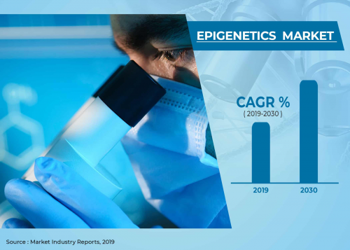 Epigenetics Market'